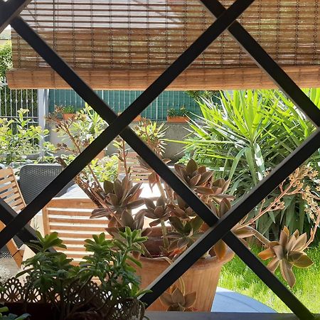 Fabiola B & B Marino Ngoại thất bức ảnh