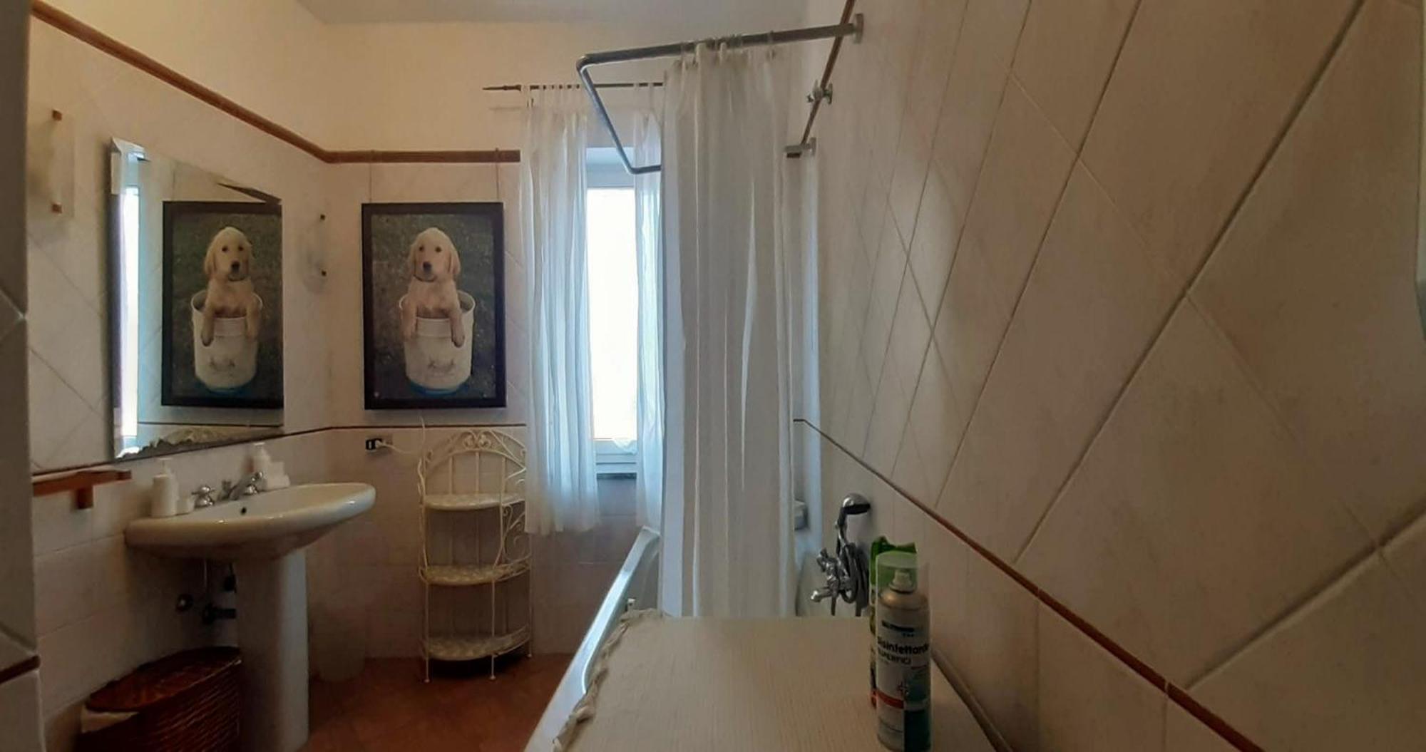 Fabiola B & B Marino Ngoại thất bức ảnh